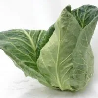 Капуста коническая СОНСМА F1 (10 000 семян) (NS) Rijk Zwaan