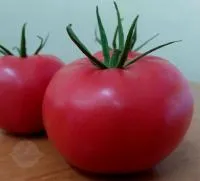 Томат ПИНК АГАТ F1 (1000 семян) Unigen Seeds
