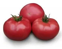 Томат KS 38 F1 (250 семян) Kitano Seeds