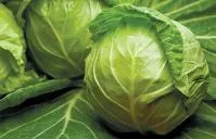 Капуста белокочанная ДЖЕТОДОР F1 (2500 семян) Syngenta