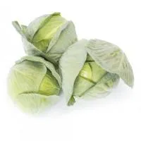 Капуста белокочанная КОРСУМА F1 (10 000 семян) (GD) Rijk Zwaan